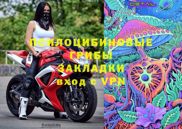 прущие грибы Верхнеуральск