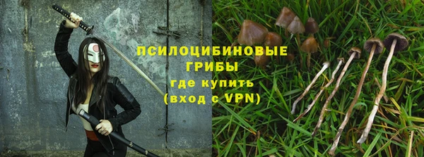 ГАЛЛЮЦИНОГЕННЫЕ ГРИБЫ Богородицк
