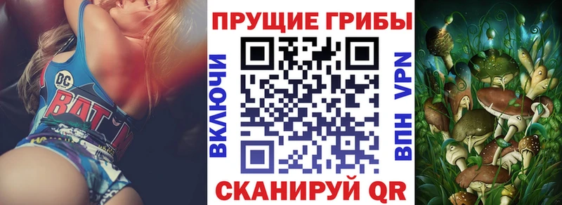 Псилоцибиновые грибы GOLDEN TEACHER  купить наркоту  Вилючинск 